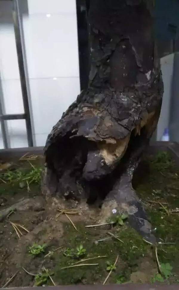 天?？惺车臉錁? width=