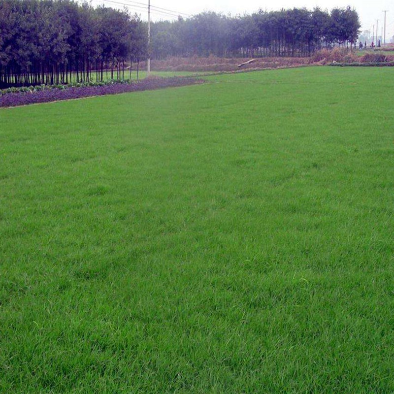 1647573167943086.jpg 3.jpg