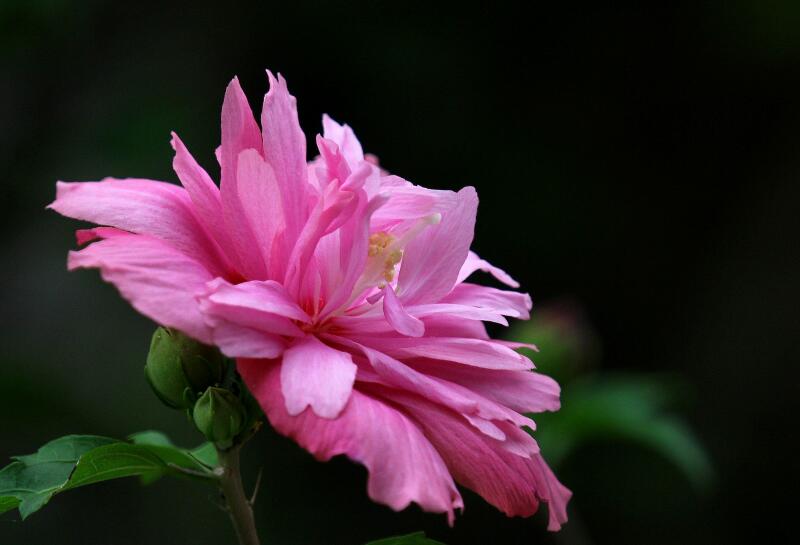 1649040748992673.jpg 1649040748992673.jpg