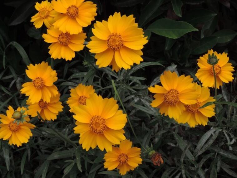 1649041092450982.jpg 1649041092450982.jpg