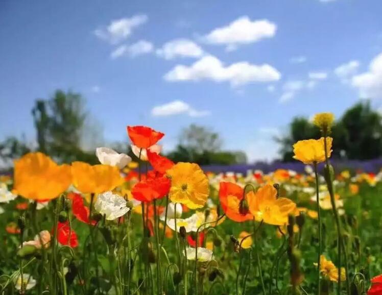 1649043421958526.jpg 1649043421958526.jpg