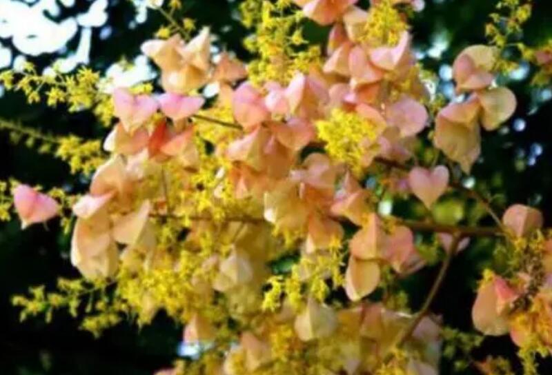 1649045068169429.jpg 1649045068169429.jpg