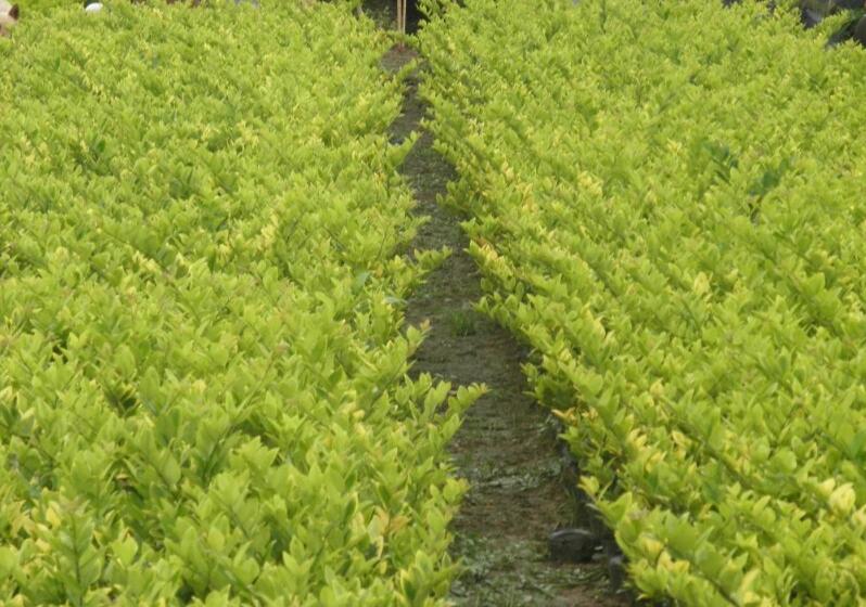 1649045149142528.jpg 1649045149142528.jpg