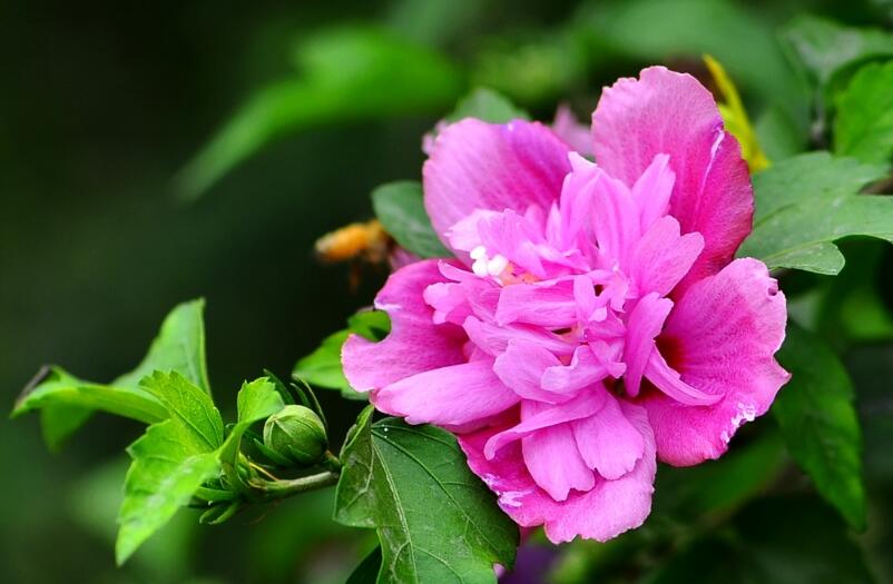 1649045269554800.jpg 1649045269554800.jpg