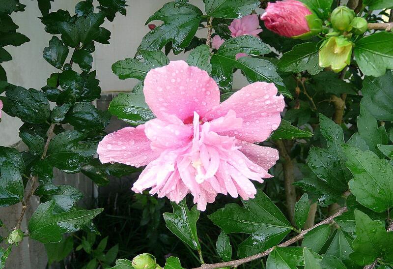 1649045269907670.jpg 1649045269907670.jpg