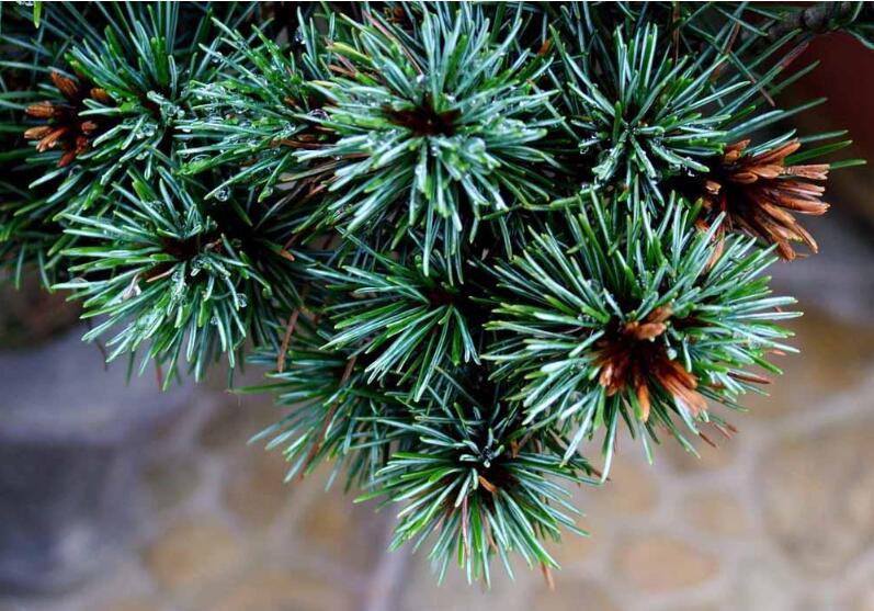 1649045993626756.jpg 1649045993626756.jpg