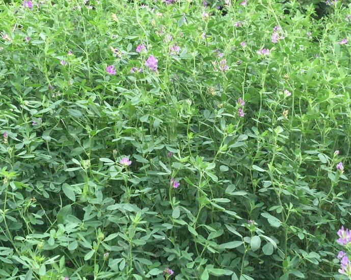 1651544971166696.jpg 1651544971166696.jpg