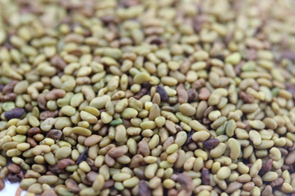 1651545085915380.jpg 1651545085915380.jpg