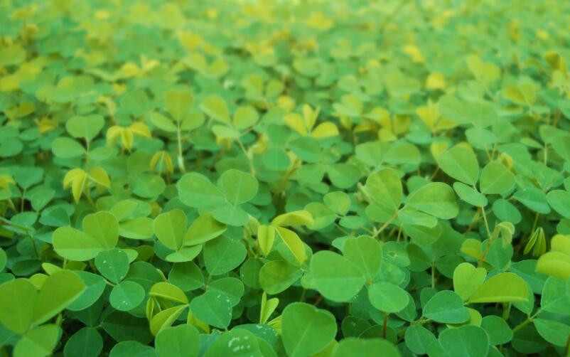 1651545155473160.jpg 1651545155473160.jpg