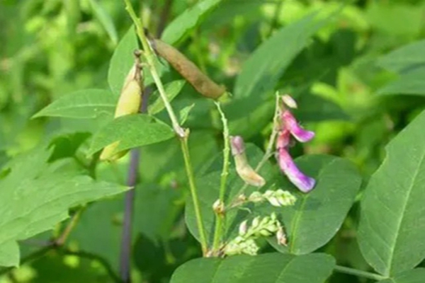 1651545217293074.jpg 1651545217293074.jpg