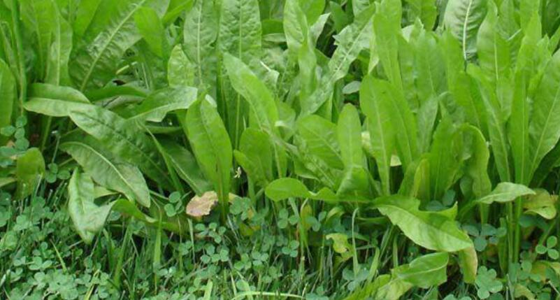 1651546409598064.jpg 1651546409598064.jpg