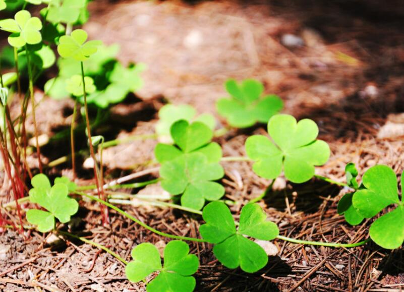 1651546726776161.jpg 1651546726776161.jpg