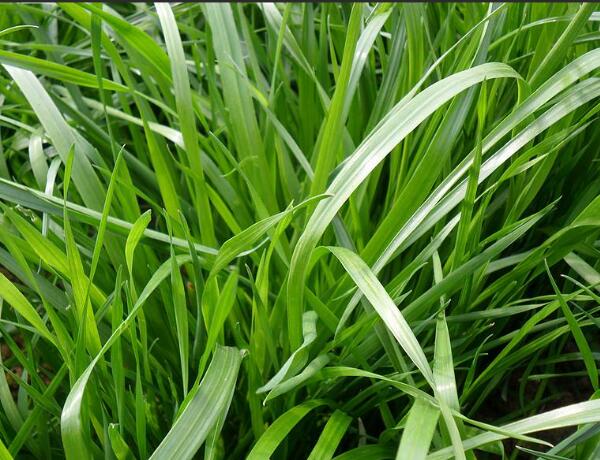 1651754338839107.jpg 1651754338839107.jpg