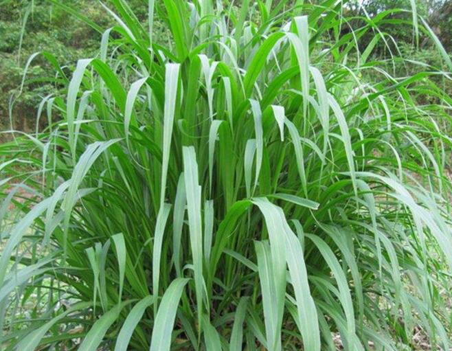 1652151387114013.jpg 1652151387114013.jpg