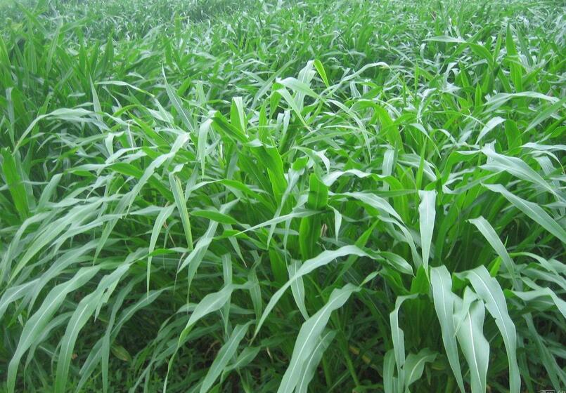 1653145119953631.jpg 1653145119953631.jpg