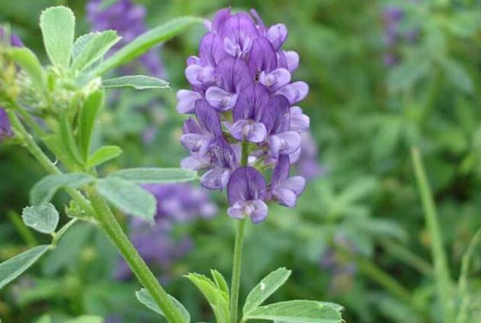 1653798401496868.jpg 1653798401496868.jpg