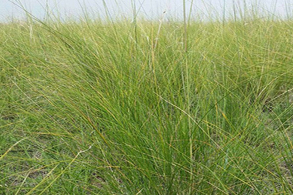 1653799620149486.jpg 1653799620149486.jpg