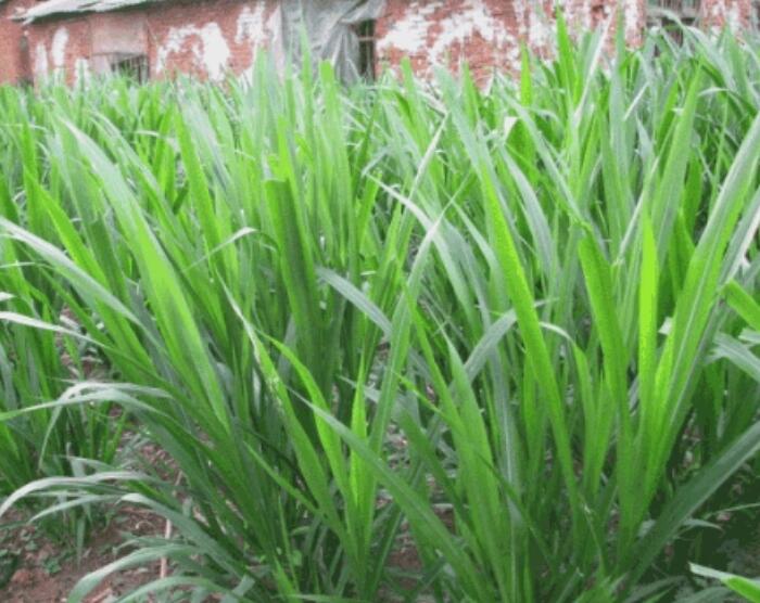 1654494769291939.jpg 1654494769291939.jpg