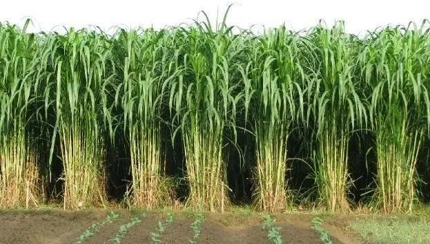 1665234611293203.jpg 微信圖片_20220827153608.jpg