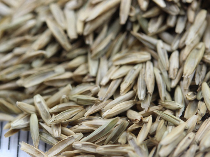 1712018846484837.jpg 1588753237829287.jpg