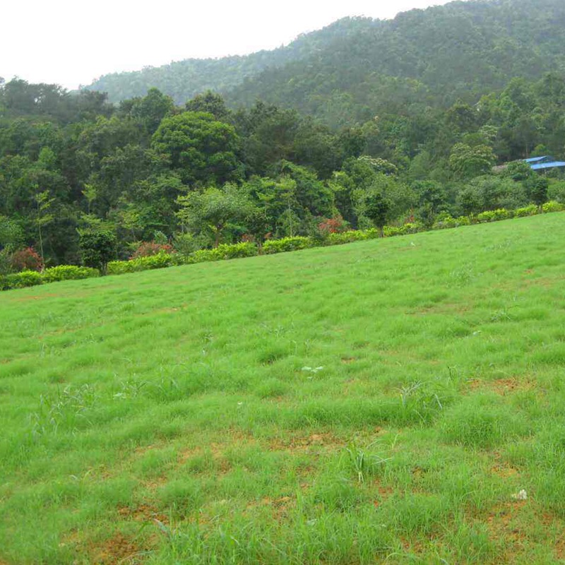 1712018866603806.jpg 1588914876243147.jpg