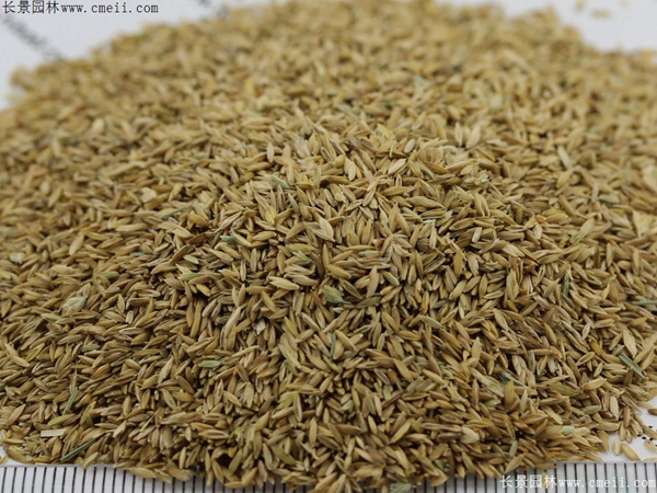 1712129704642868.jpg 1-1F4301J31X96.jpg