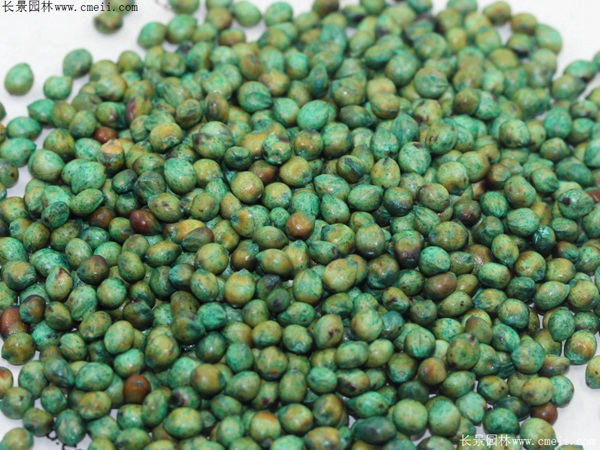 1712196352389217.jpg 1-1F503112G1108.jpg