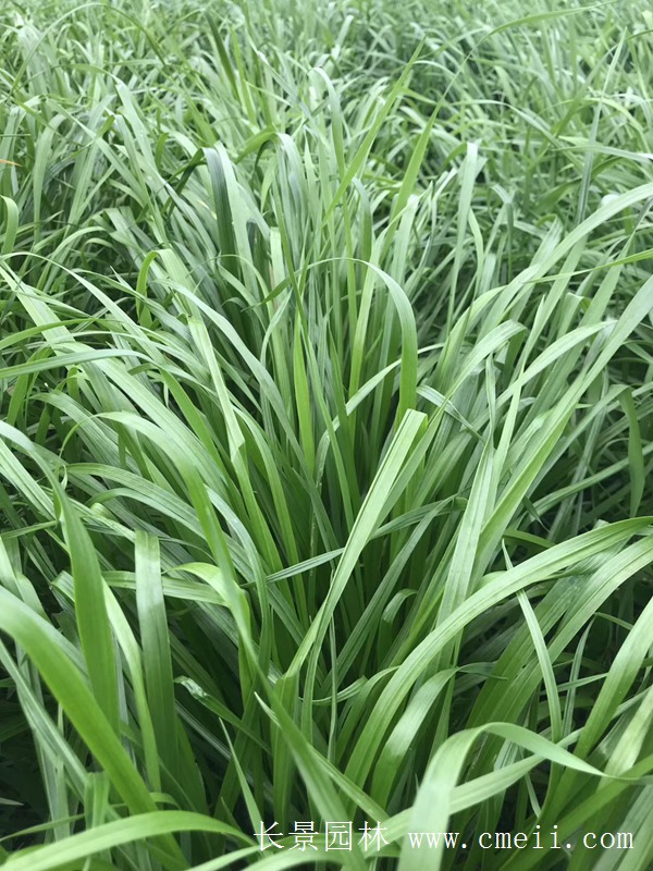 1712278163415836.jpg 1-1ZZ51FH4352.jpg