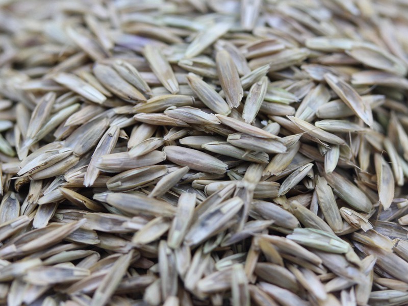 1712457218742834.jpg 1588646611222173.jpg