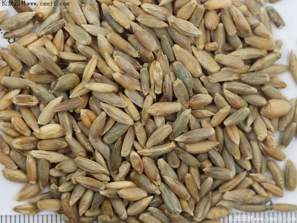 1712630314180774.jpg 1-1F623224T3K1.jpg