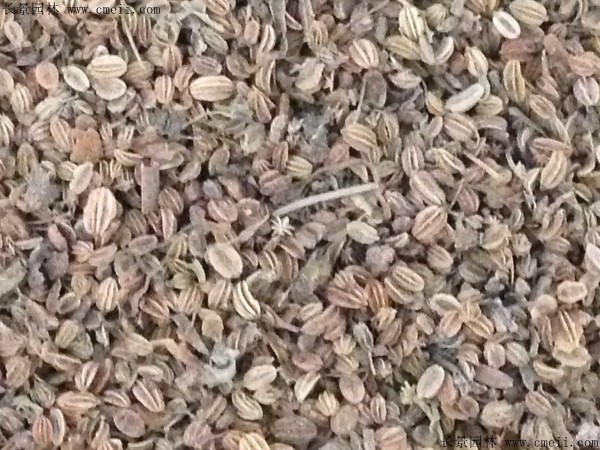 1712817754364400.jpg 1-1F623122101Z6.jpg